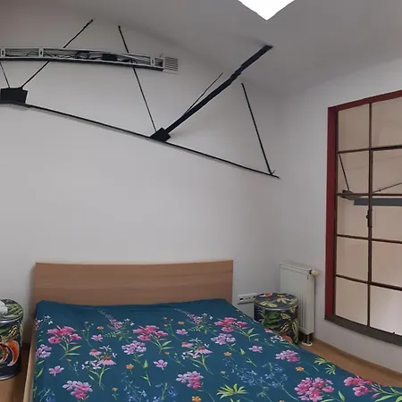 Nowy Swiat * Zyrardow